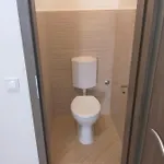 Apartamento In 40765